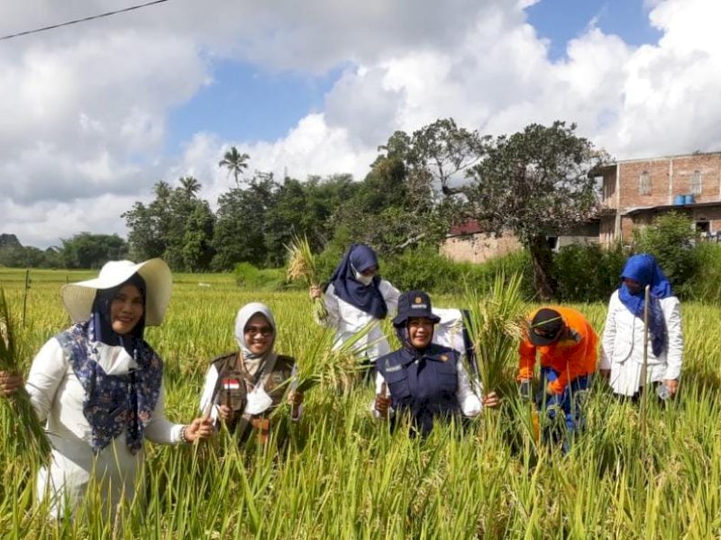 Cadangan Beras Nasional Aman, Tiap Bulan Ada Panen