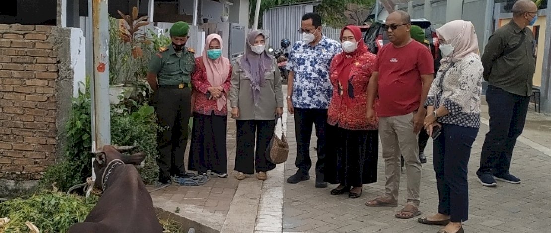 Cegah PMK, Pemkab Gowa Batasi Pendistribusian Ternak dari Luar