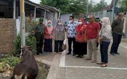 Cegah PMK, Pemkab Gowa Batasi Pendistribusian Ternak dari Luar