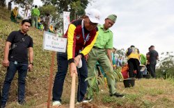Apeksi Bikin Kebun Durian di Padang, Danny Bawa Bibit Langsung dari Makassar 