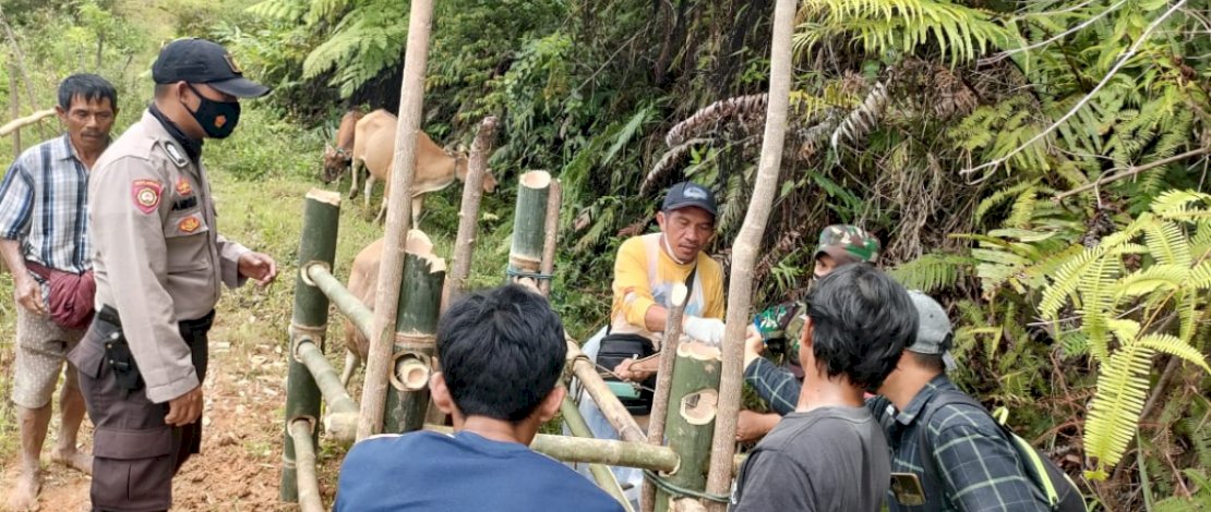Polres Luwu bersama jajaran Dinas Peternakan dan dokter hewan melakukan vaksinasi Penyakit Mulut dan Kuku (PMK) di Desa Tede, Kecamatan Bastem Utara, Kabupaten Luwu, Selasa, 9 Agustus 2022. Polres Luwu bersama jajaran Dinas Peternakan dan dokter hewan melakukan vaksinasi Penyakit Mulut dan Kuku (PMK) di Desa Tede, Kecamatan Bastem Utara, Kabupaten Luwu, Selasa, 9 Agustus 2022.