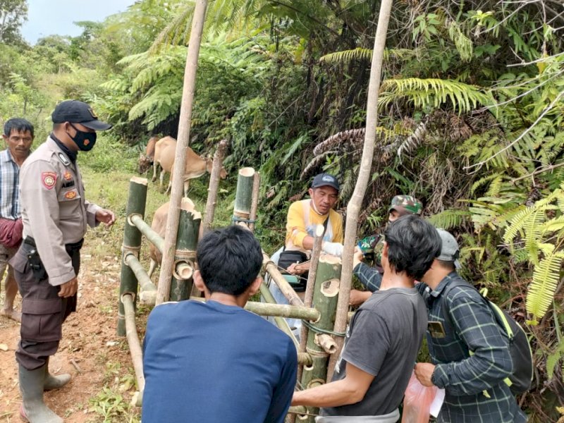 Gandeng Dinas Peternakan, Polres Luwu Lakukan Vaksinasi PMK di Bastem