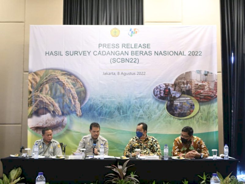 Stok Beras April 10,15 Juta Ton, IRRI - Akademisi Apresiasi Survei Kementan - BPS