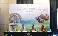 Stok Beras April 10,15 Juta Ton, IRRI - Akademisi Apresiasi Survei Kementan - BPS