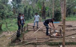 Gerebek Judi Sabung Ayam, Polisi Amankan Motor dan Ayam Mati