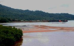 Koalisi Advokasi Tambang Minta Pemerintah Cabut Izin PT Panca  Digital Solution di Luwu Timur