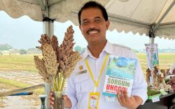 Wujudkan One Village One Product, Kementan Dorong Pengembangan Olahan Sorgum