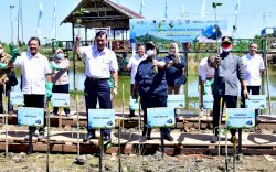 Program Prioritas Gubernur, DKP Sulsel Telah Tanam 1,7 Juta Batang Mangrove 