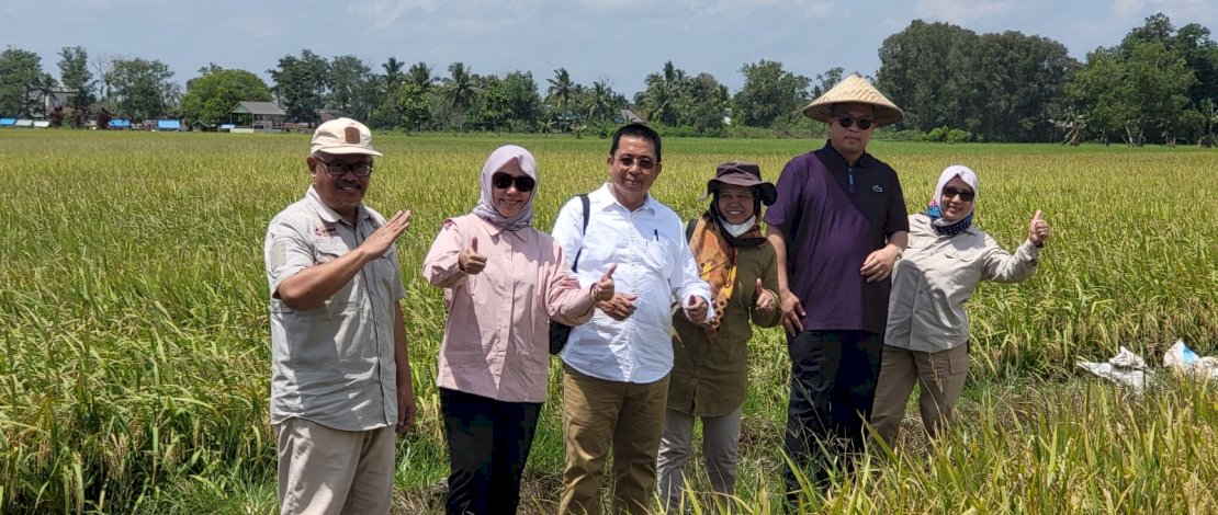 Rektor Institut Pertanian Bogor (IPB) University, Prof Arif Satria, memberikan apresiasi terhadap kemajuan Program Food Estate di Kalimantan Tengah (Kalteng).
