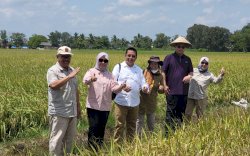 Rektor IPB Siap Berkolaborasi Dorong Kemajuan Food Estate Kalteng