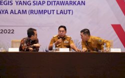 BKPM Siapkan Dua Proyek Berbasis SDA di Sulsel