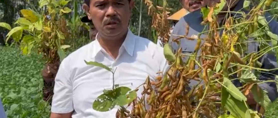 Direktur Jenderal Tanaman Pangan Suwandi.