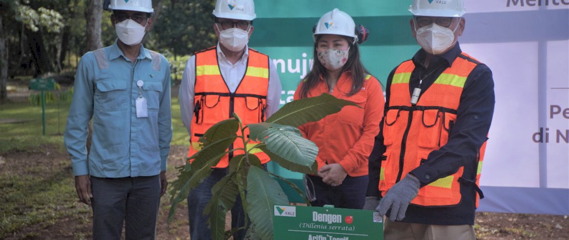 CEO Vale Indonesia saat menggelar aksi tanam pohon sebagai wujud Pertambangan Berkelanjutan. CEO Vale Indonesia saat menggelar aksi tanam pohon sebagai wujud Pertambangan Berkelanjutan.