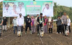 Kurangi Impor, Kementan Tingkatkan Produksi dan Pasca Panen Kedelai Lokal