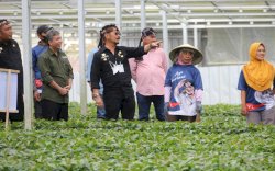 DPR Apresiasi Kementan Atas Raihan WTP dan Capaian Swasembada Beras