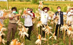 DPR Apresiasi Pengelolaan Anggaran di Kementan