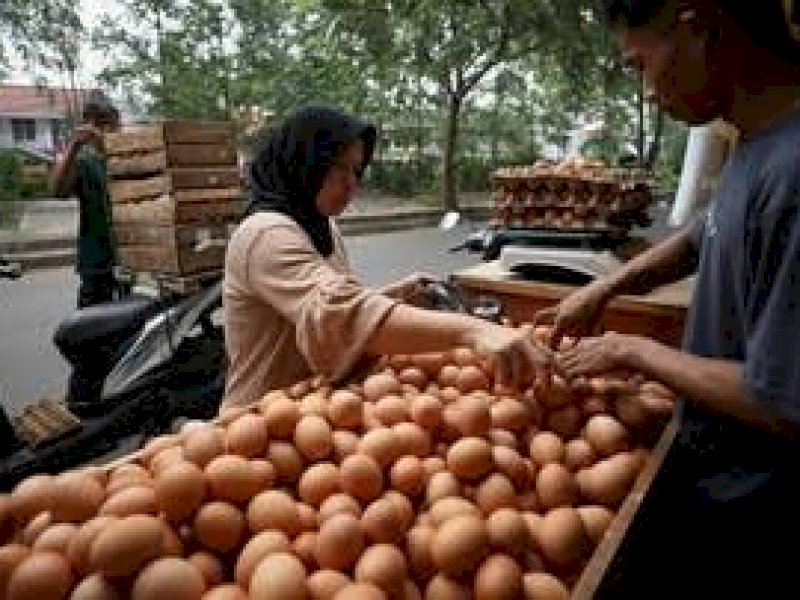 Tak Terkendali, Harga Telur Kini Rp 56 Ribu Per Rak