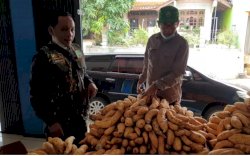 Kementan Gairahkan Potensi Olahan Ubi Cilembu Hingga Ekspor