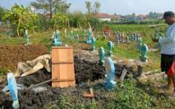 Makam Dibongkar Porak-poranda oleh OTK, Tiga Tali Pocong Dicuri