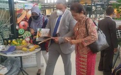 Unpad dan Kementan Kolaborasi Riset Lalat Buah Mangga, Hasilnya Tak Ada Bactrocera di Pulau Jawa
