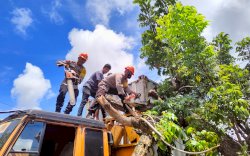 Begini Aksi Cepat Tim SAR Brimob Bone Evakuasi Truk Kontainer Tertimpa Pohon Tumbang