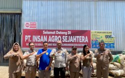 Karantina Pertanian Makassar Pastikan Ekspor Porang dari Sulsel Berkelanjutan 