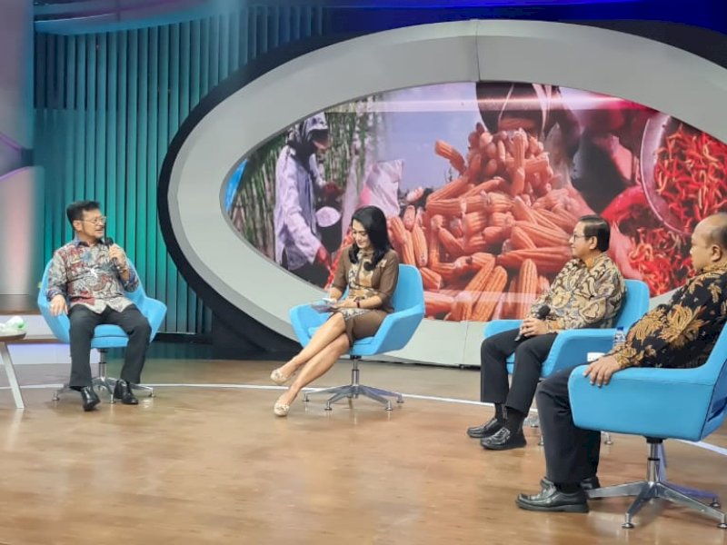 Indef Dorong Pemerintah Perbesar Ruang Anggaran Pupuk Organik