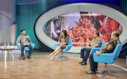 Indef Dorong Pemerintah Perbesar Ruang Anggaran Pupuk Organik