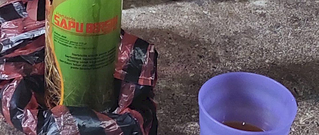 Gelas dan botol berisi cairan herbisida, ditemukan didekat jasad SW dan GN. Gelas dan botol berisi cairan herbisida, ditemukan didekat jasad SW dan GN.