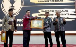 Pemprov Sulsel Dianugerahi BKN Award Kategori Pertama Tipe Besar