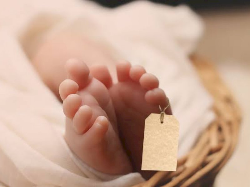 Polisi Terkendala CCTV Usut Kasus Temuan Mayat Bayi Terbakar