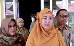 Dilantik Jadi Kadis Kesehatan Sulsel, Rosmini Pandin Prioritaskan Pembangunan RS Regional di Bone