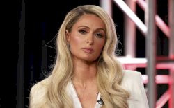 Penemu Anjing Paris Hilton Bakal Dapat Hadiah Fantastis 