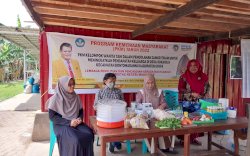 PKM UNM  Beri Pelatihan Pengolahan Jamur Tiram Bagi KWT Desa Sokolia