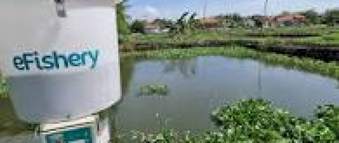 Start Up Akuakultur asal Indonesia Ini Terbesar di Dunia, Omsetnya Jauh Lebih Besar dari Gojek