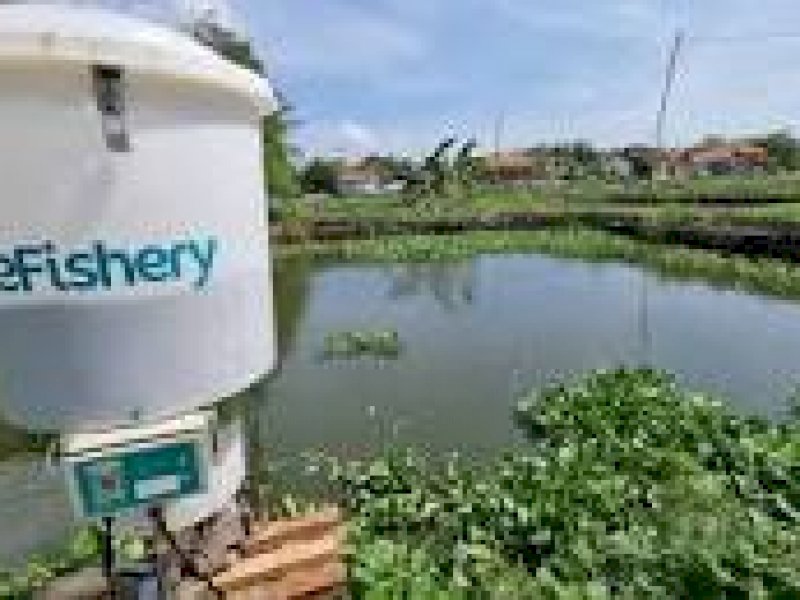 Start Up Akuakultur asal Indonesia Ini Terbesar di Dunia, Omsetnya Jauh Lebih Besar dari Gojek