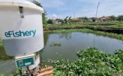 Start Up Akuakultur asal Indonesia Ini Terbesar di Dunia, Omsetnya Jauh Lebih Besar dari Gojek