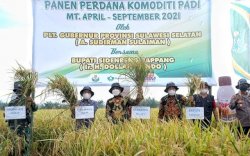 Program Mandiri Benih Sulsel Dongkrak Hasil Pertanian