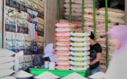 Jaga Harga di Pasaran, Bulog Gelontorkan 650 Ribu Ton Beras Sepanjang Tahun 2022