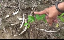 Musim Hujan Dikhawatirkan Memperparah Abrasi, Tulang Manusia Berserakan