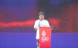 Gubernur Bali di Global Forum G20 Targetkan 45 Ribu Hektar Pertanian Organik