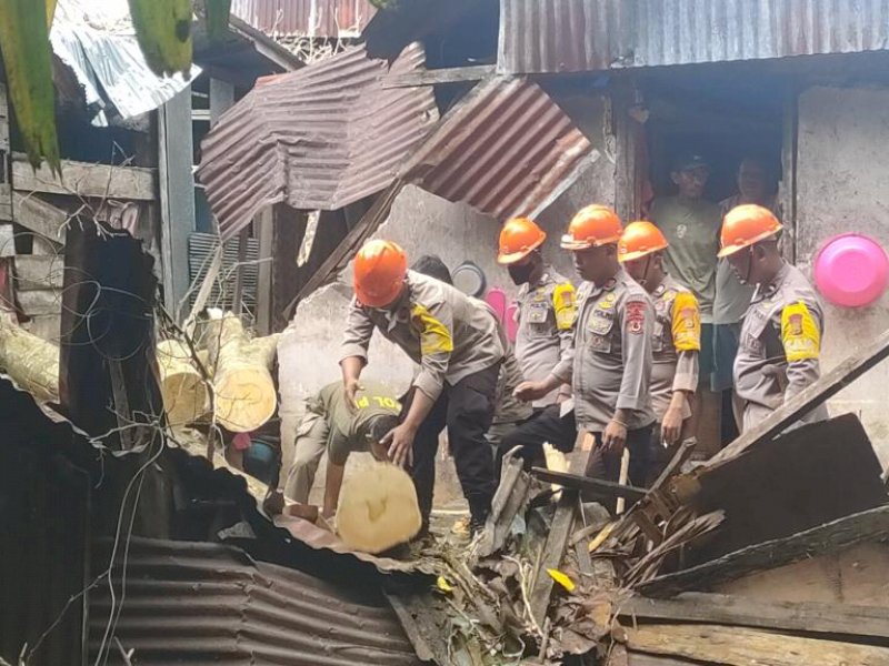 Timpa Rumah Warga, Respons Cepat Tim SAR Brimob Bone Evakuasi Pohon Tumbang