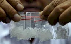 Soal Anggota Satpol PP Ditangkap Narkoba, Pemprov Sulsel: Tidak Ditolerir Pasti Dipecat