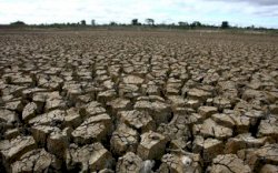 Dampak Kekeringan, 16.250 Jiwa di Kota Makassar Kesulitan Air Bersih