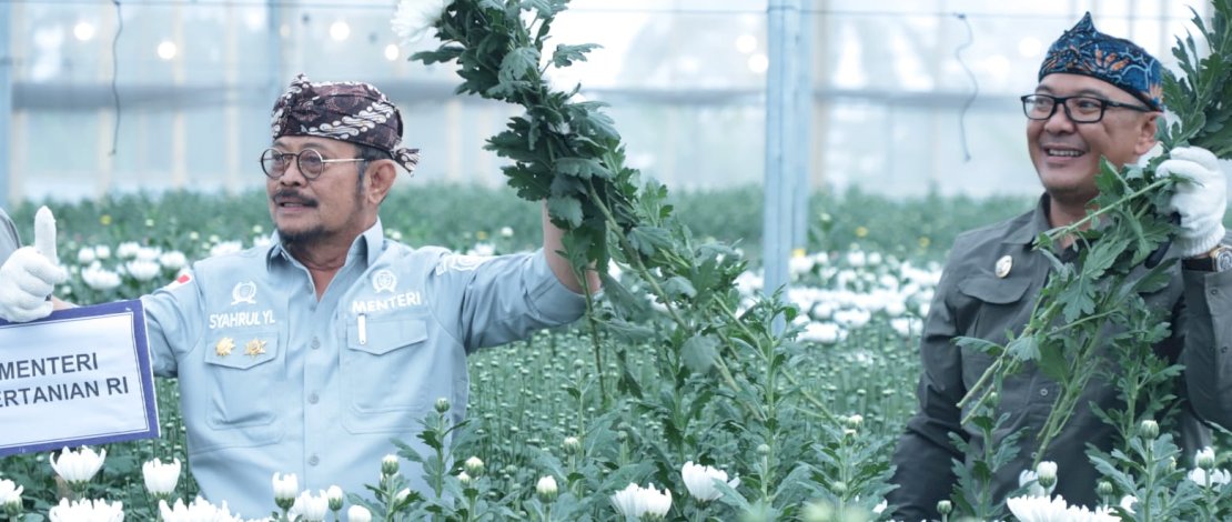 Menteri Pertanian Syahrul Yasin Limpo melakukan panen sekaligus mengecek persiapan ekspor bunga krisan ke Jepang yang dibudidayakan Kelompok Tani Swastika Jaya binaan Direktorat Jenderal Hortikultura, di Desa Sukamanah Kecamatan Megamendung, Kabupaten Bogor.