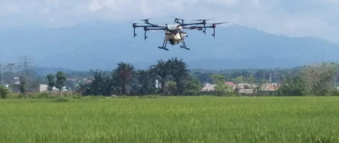 Kreatif dan Inovatif, PPL Luwu Utara Ini Gunakan Drone untuk Pemupukan Padi