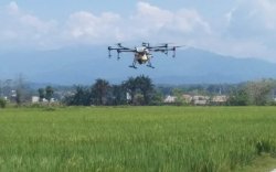 Kreatif dan Inovatif, PPL Luwu Utara Ini Gunakan Drone untuk Pemupukan Padi