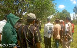 Pemkab Lutra - Unanda Kembalikan Kejayaan Jeruk Malangke Lewat Program Revegetasi KuOR