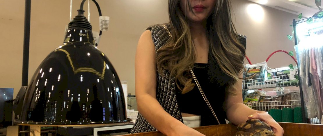 Salah satu hewan di Animal Land.