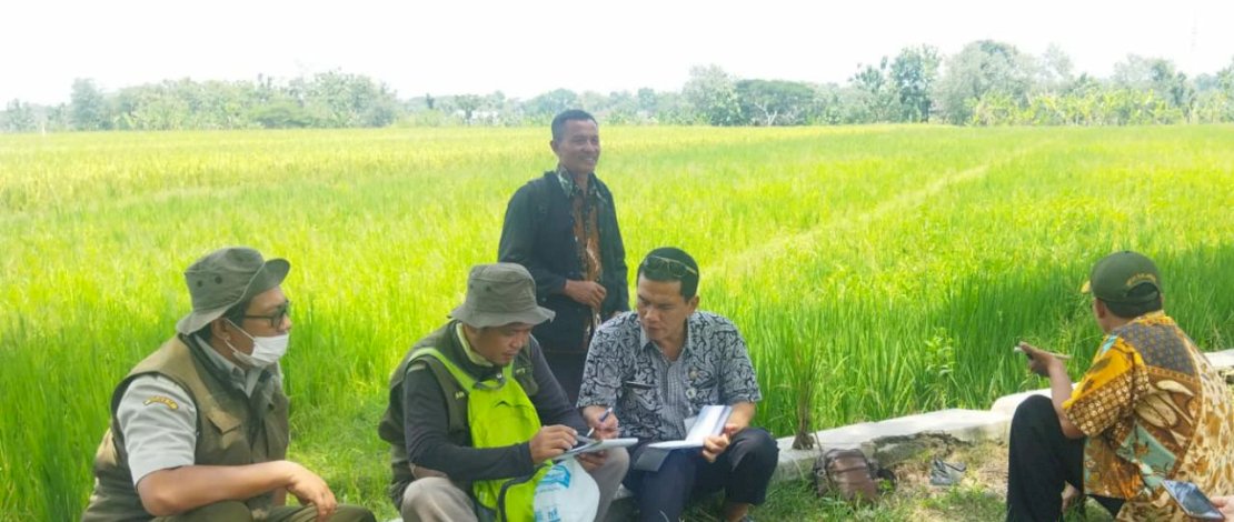 Tim BBPOPT saat turun ke Sragen, Jumat, 14 Oktober 2022, untuk mengendalikan serangan organisme penganggu tanaman.